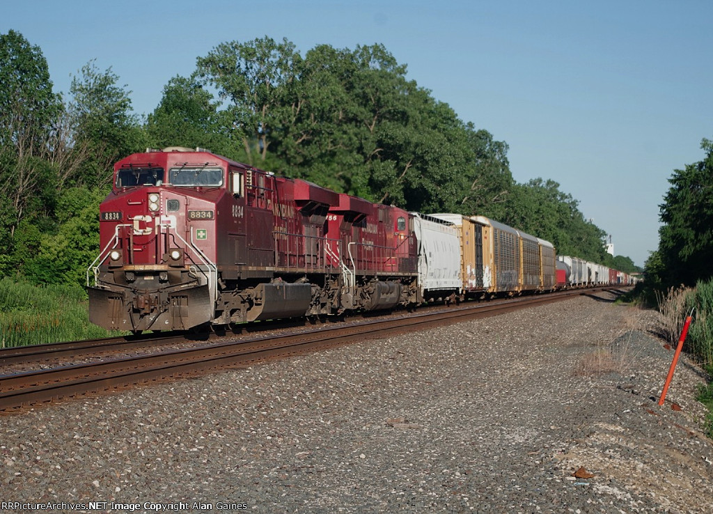 CP 8834